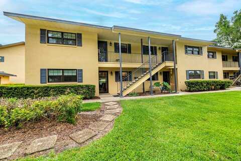 110 N TREMAIN STREET, MOUNT DORA, FL 32757