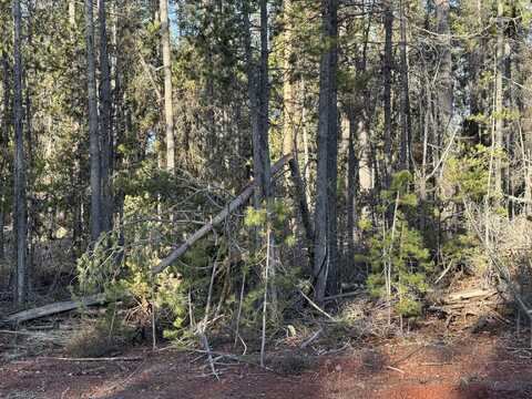 Artesian Drive, Chiloquin, OR 97624