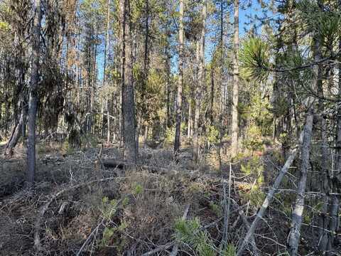 Artesian Drive, Chiloquin, OR 97624