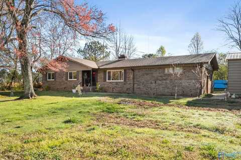 5815 Georgia Mountain Road, Guntersville, AL 35976