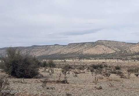 28184 Ventura Drive, Seligman, AZ 86337