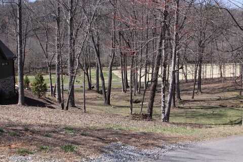 Lot Hp21 Old Toccoa Loop, Mineral Bluff, GA 30559
