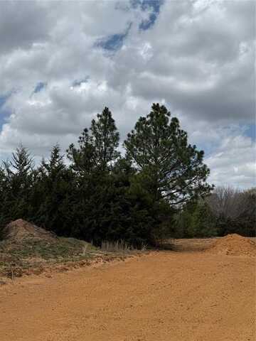 3552 FM 3136 LOT 14, Coyote Flats, TX 76031