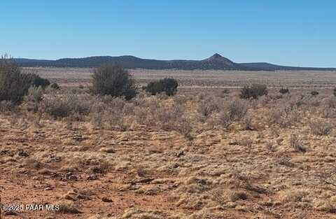00 NE Double Back Drive, Seligman, AZ 86337