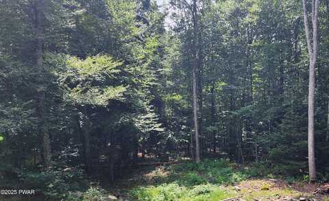 Ness Road, Dingmans Ferry, PA 18328