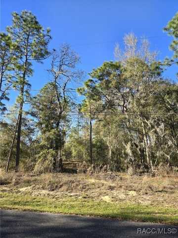 5215 E South Crossing Court, Inverness, FL 34452
