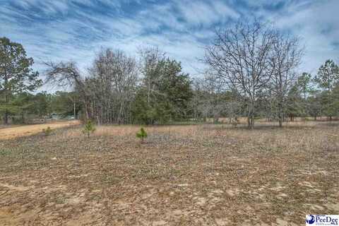 TBD Ozelma Drive, Dillon, SC 29536