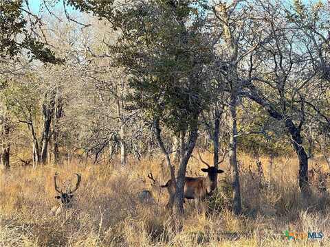 1782 FM 218, Hamilton, TX 76531
