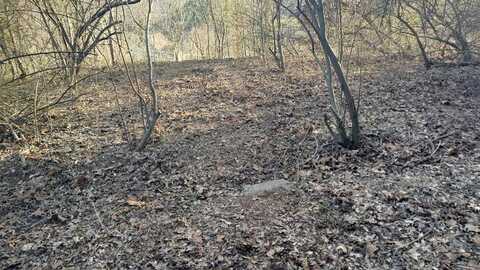 110-114 Lawson Lane, Cedar Bluff, VA 24609