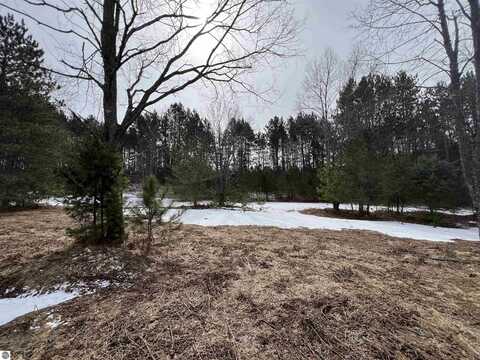 3716 SW Luce Road, South Boardman, MI 49680