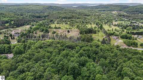 V/L S Coleman Road, Maple City, MI 49664