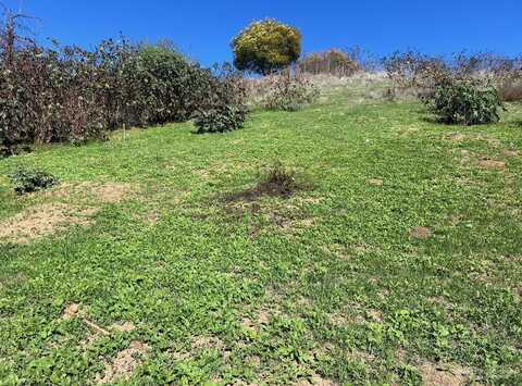 0 Lot 9 Latrobe St, Los Angeles, CA 90031