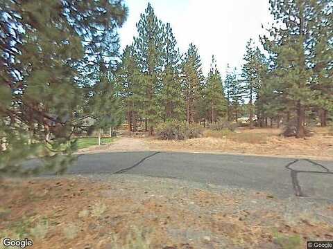Jack Rabbit, WEED, CA 96094