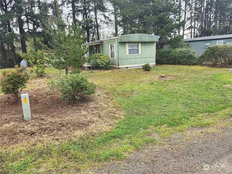 Ash, OCEAN PARK, WA 98640