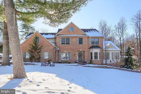 White Pine, HERSHEY, PA 17033