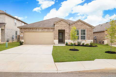 Rojo, SAN ANTONIO, TX 78254