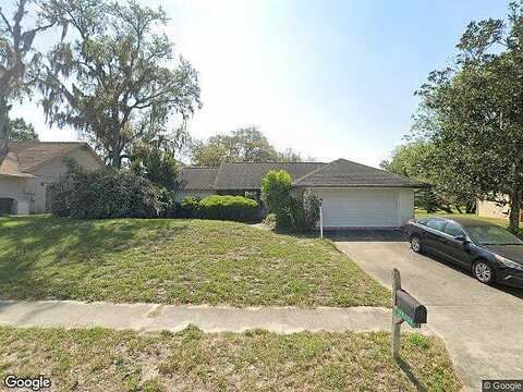 Turkey Oak, NEW PORT RICHEY, FL 34654