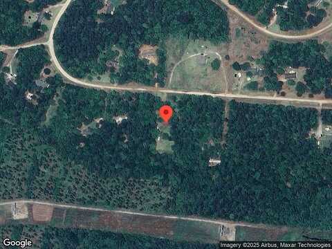 Pine Needle, HEPHZIBAH, GA 30815