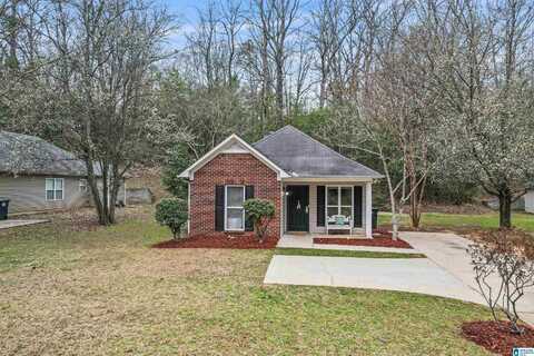 520 VALLEY DRIVE, BIRMINGHAM, AL 35206