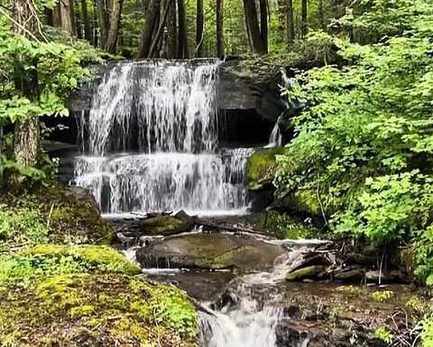 Bragg Hollow Road, Middletown, NY 12455