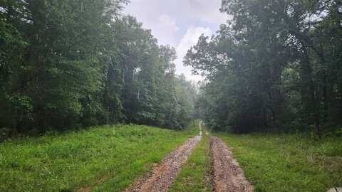 TBD Markerville Road, Story, AR 71970