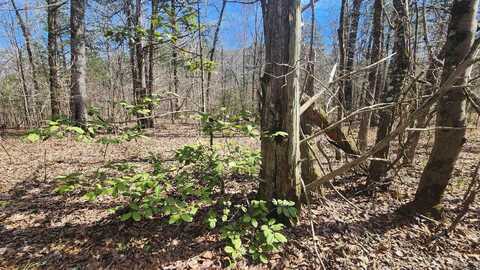 TBD Markerville Road, Story, AR 71970