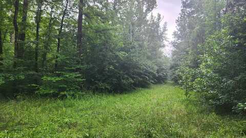 TBD Markerville Road, Story, AR 71970