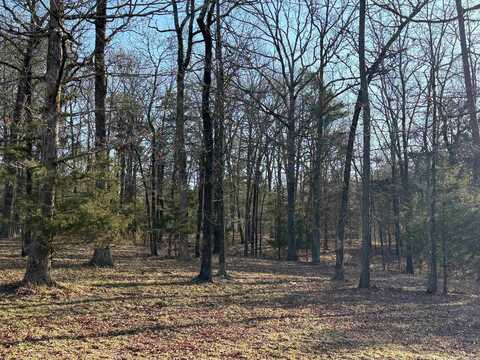 TBD Polk Road 168 LOT #3, Mena, AR 71953