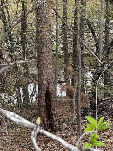 Lot 31 Forest View Circle, Hot Springs, AR 71913