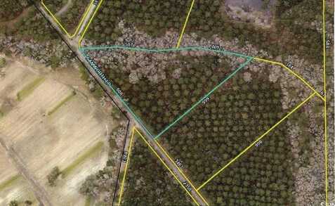 Lot 9 Samworth Loop, Georgetown, SC 29440