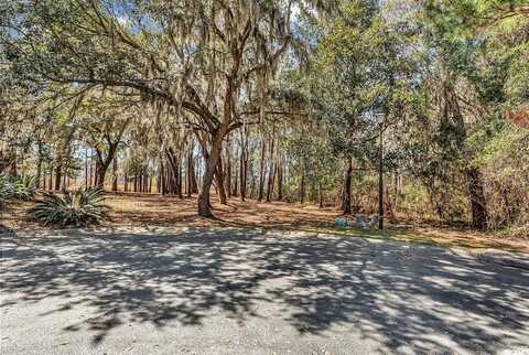 TBD Congressional Dr., Pawleys Island, SC 29585