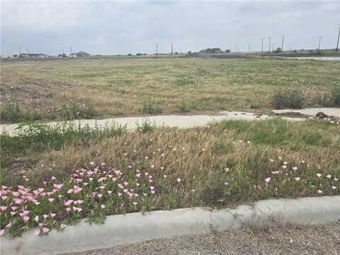 1685 Gemini Acres Drive, Corpus Christi, TX 78415
