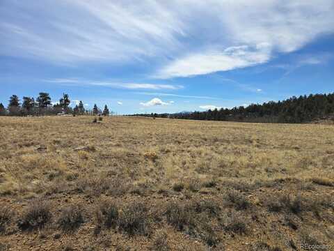 Kataka Road, Hartsel, CO 80449