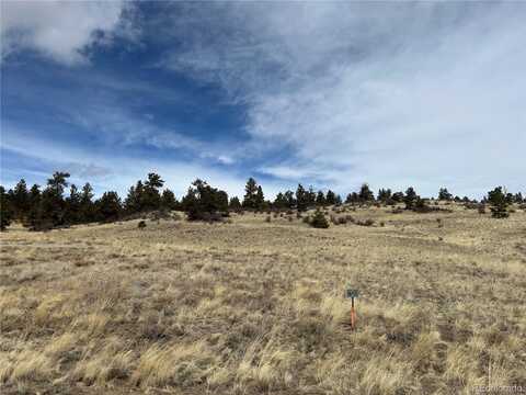 64 Bandana Road, Hartsel, CO 80449