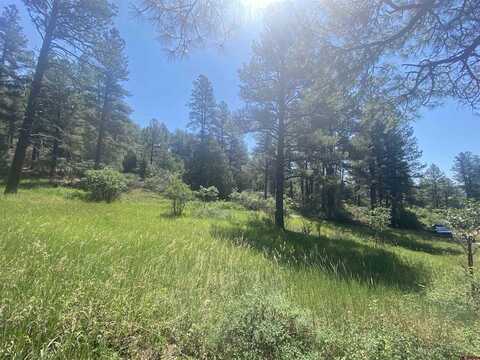 462 Circle Drive, Pagosa Springs, CO 81147
