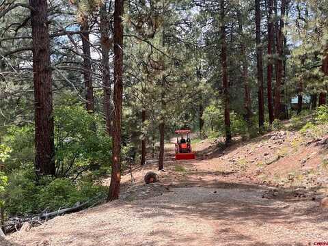 19 Glenn Lane, Durango, CO 81301
