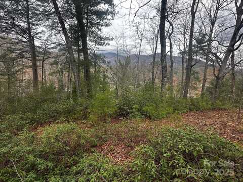 0000 Memorial Highway, Lake Lure, NC 28746