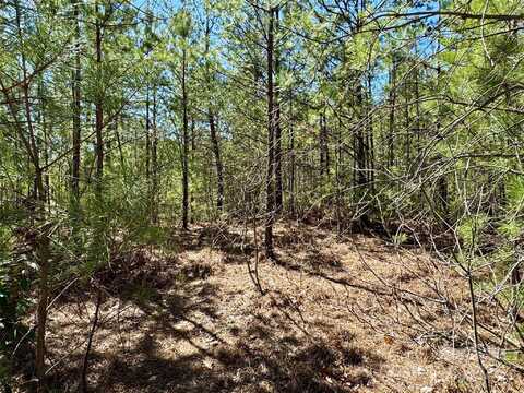 99 Oak Laurel Road, Brevard, NC 28712