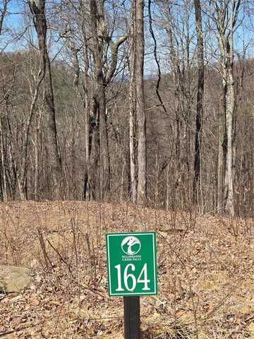 164 Wilderness Creek Way unit: 164, Murphy, NC 28906