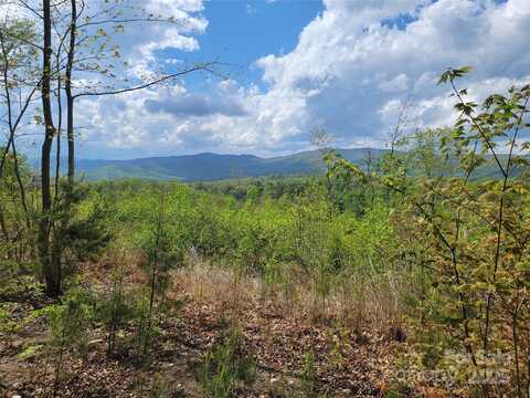 Shire Lane, Union Mills, NC 28167