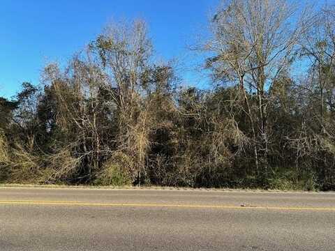0 State Highway 109, Lot 2, Dothan, AL 36301