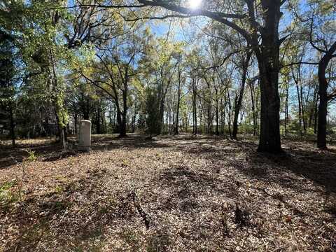 21815 State Rd 47, Fort White, FL 32038