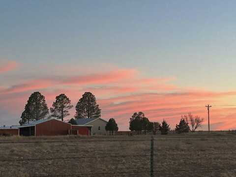 100 S Metzger Road, Estancia, NM 87016