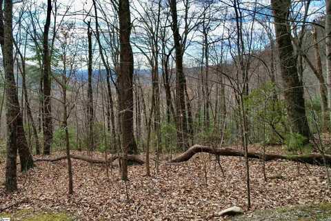 1329 Panther Park Trail, Travelers Rest, SC 29690