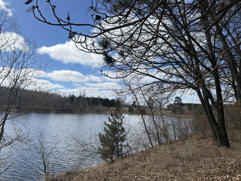 12305 Summerhill Drive, Canadian Lakes, MI 49346