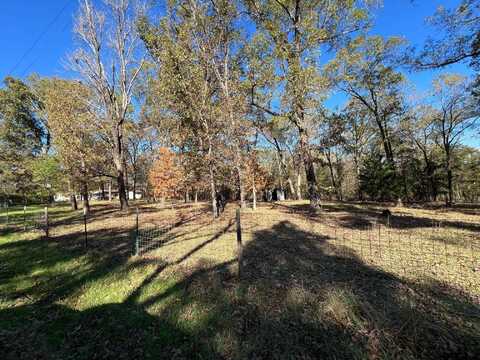 TBD CR 2798, Mineola, TX 75773