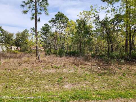 0 Liberto Road, Weeki Wachee, FL 34614