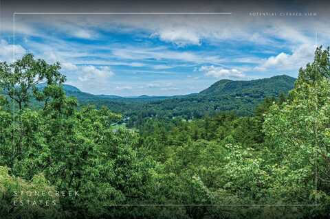 1 Judgement Way, Sapphire, NC 28774