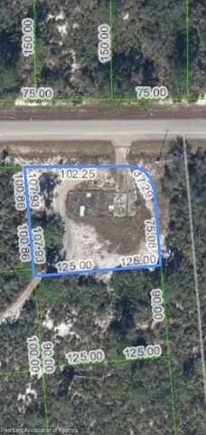 1507 CROSSVIEW Street, Lake Placid, FL 33852