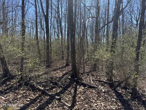 0 TENTH/KNIGHT, Crossville, TN 38555